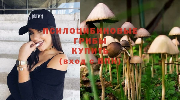 COCAINE Горняк